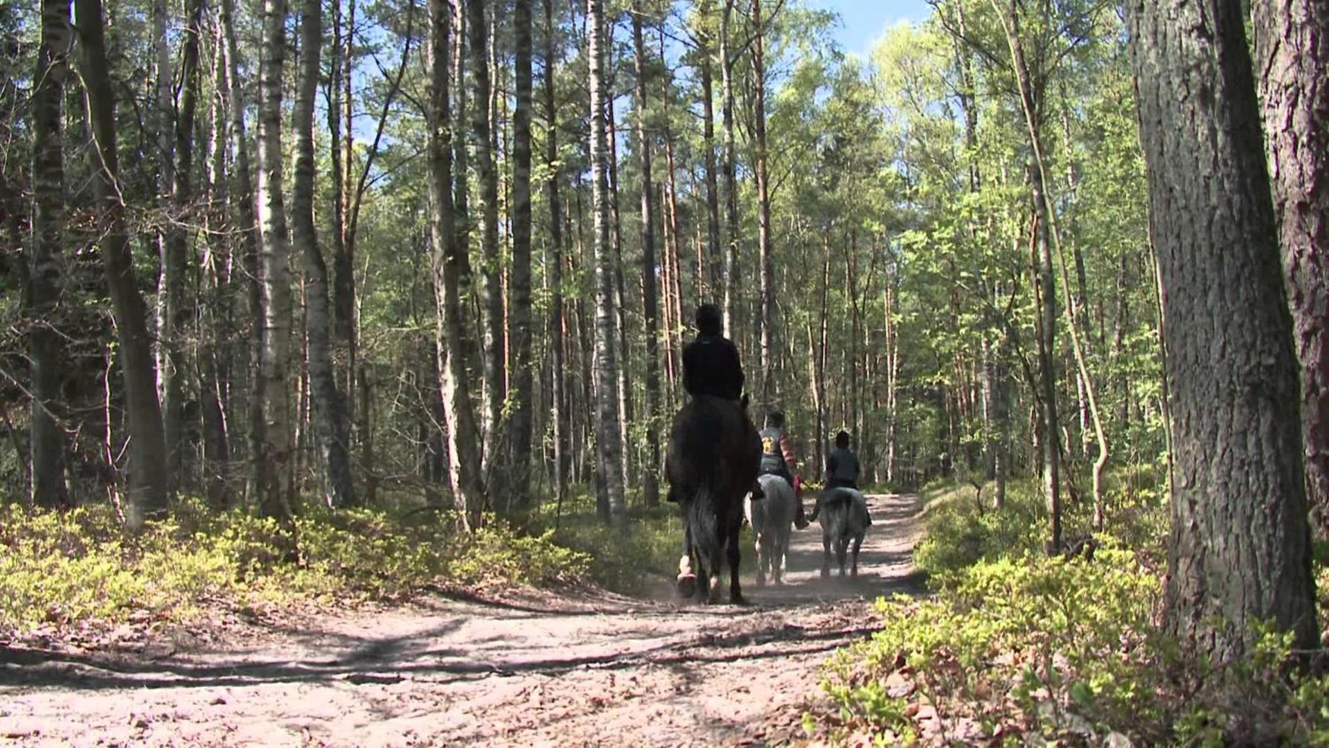 Bursztynowy Zakatek Lodge Jantar